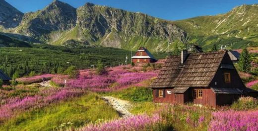 Odkryj Zakopane: Top 10 Miejsc Warte Twojej Wizyty cz. I