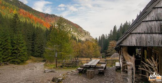 Jesień w Zakopanem - ostatni moment na jesienną wycieczkę do Stolicy Tatr Polskich.